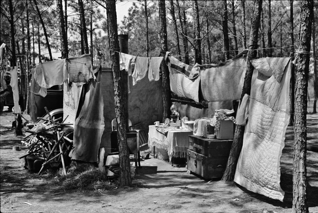 Domowy Porządek — fotografia 18